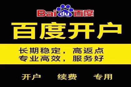 百度SEO推广公司成功案例：助力企业实现流量暴增